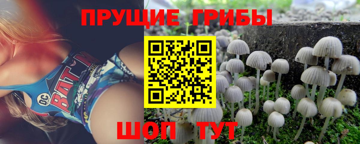 Галлюциногенные грибы ЛСД  Вход с VPN  Тамбов  Галлюциногенные грибы MAGIC MUSHROOMS 